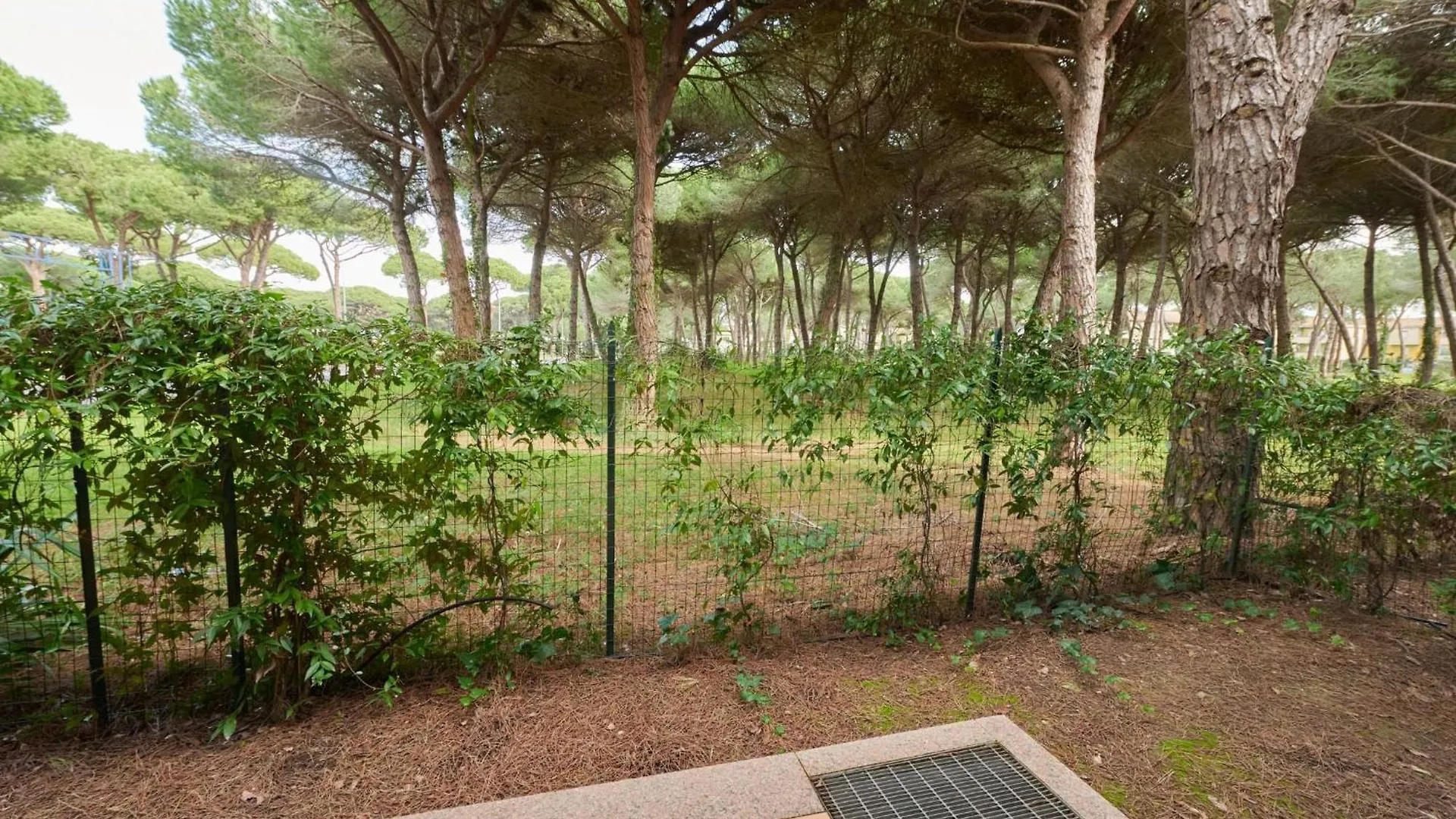 Aparthotel Pineta Azzurra Marina di Grosseto
